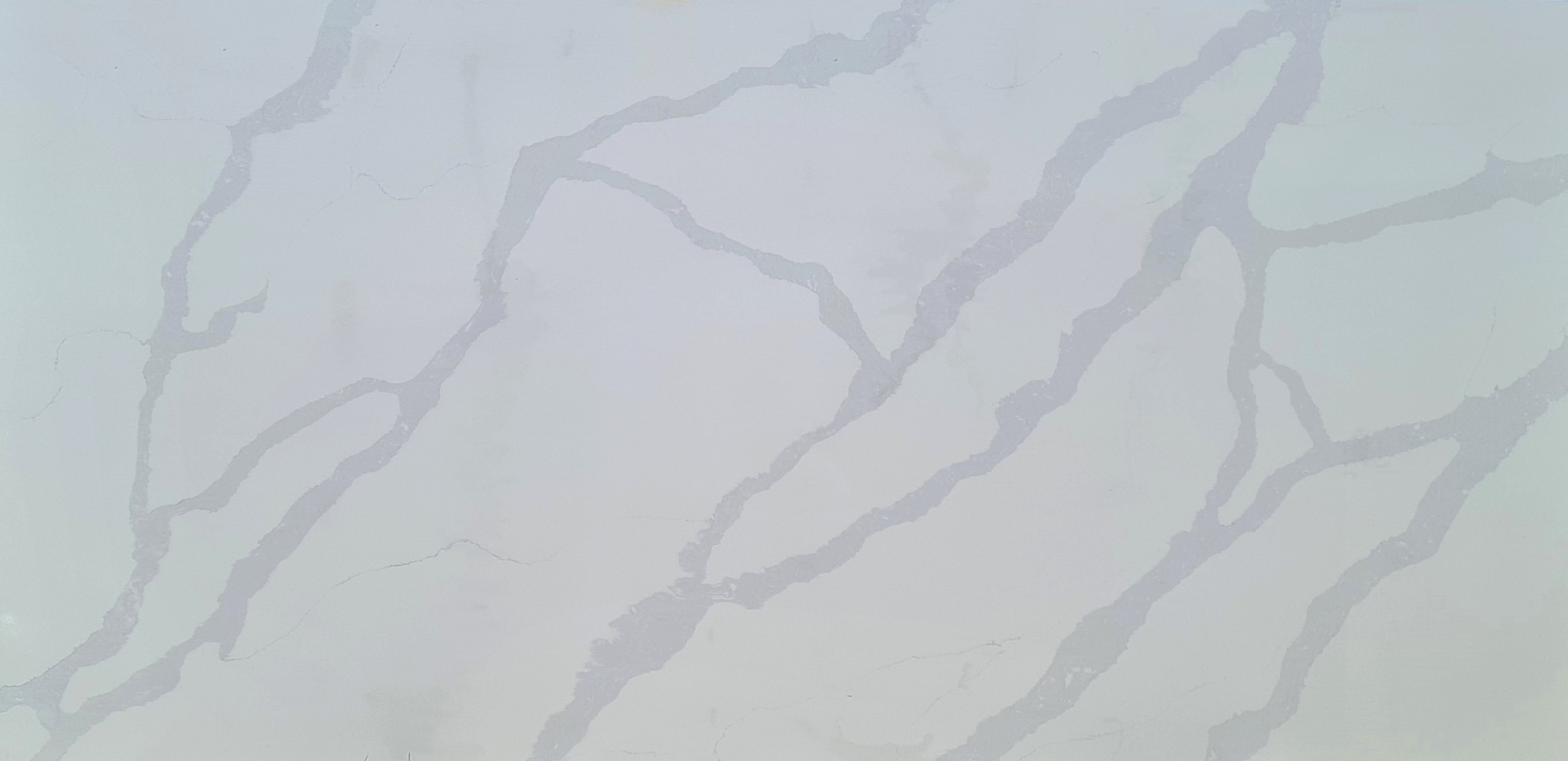 Calacatta Greco Quartz