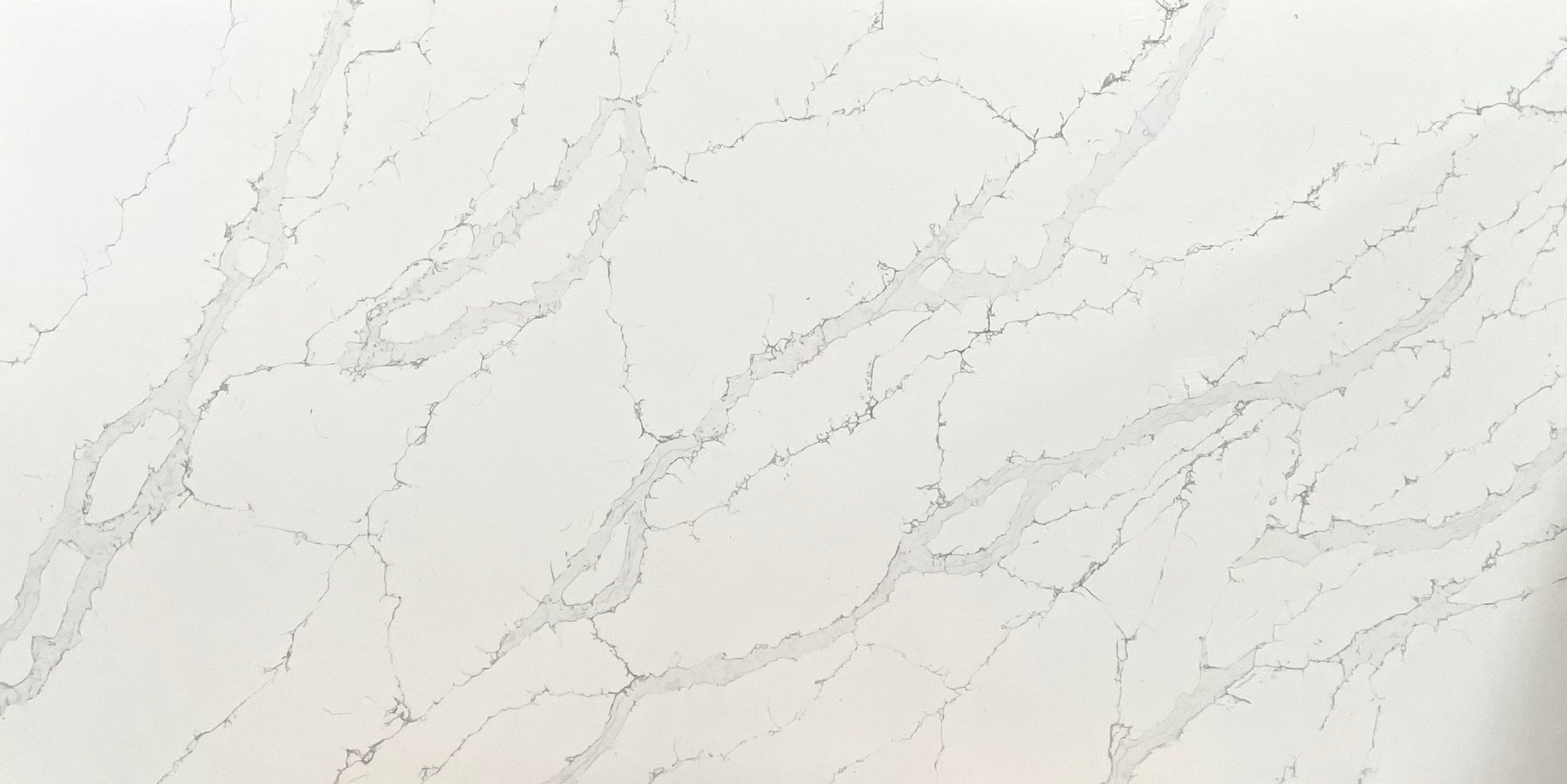 Calacatta Dolce Quartz