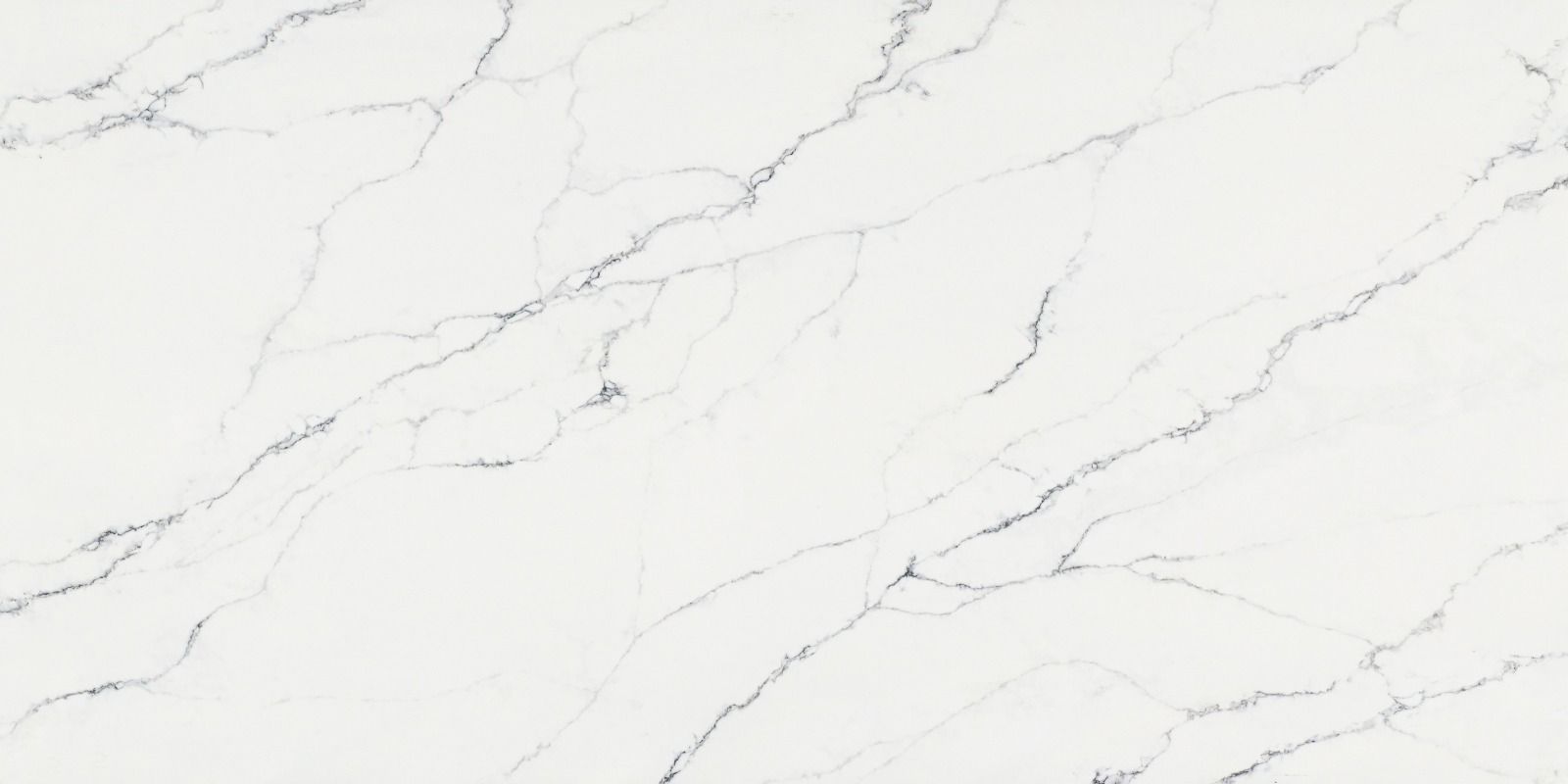 Calacatta Alaska White Quartz