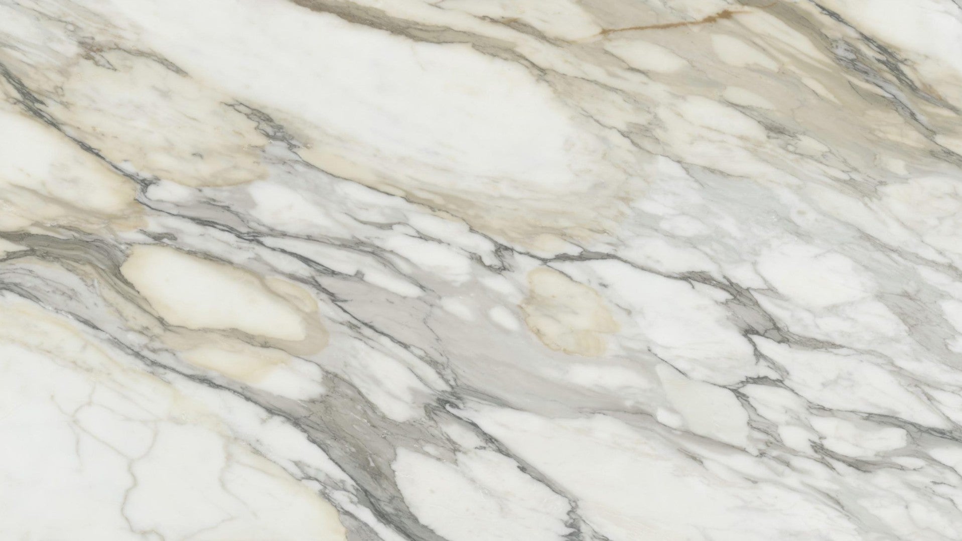 Borghini Royal 3D Quartz