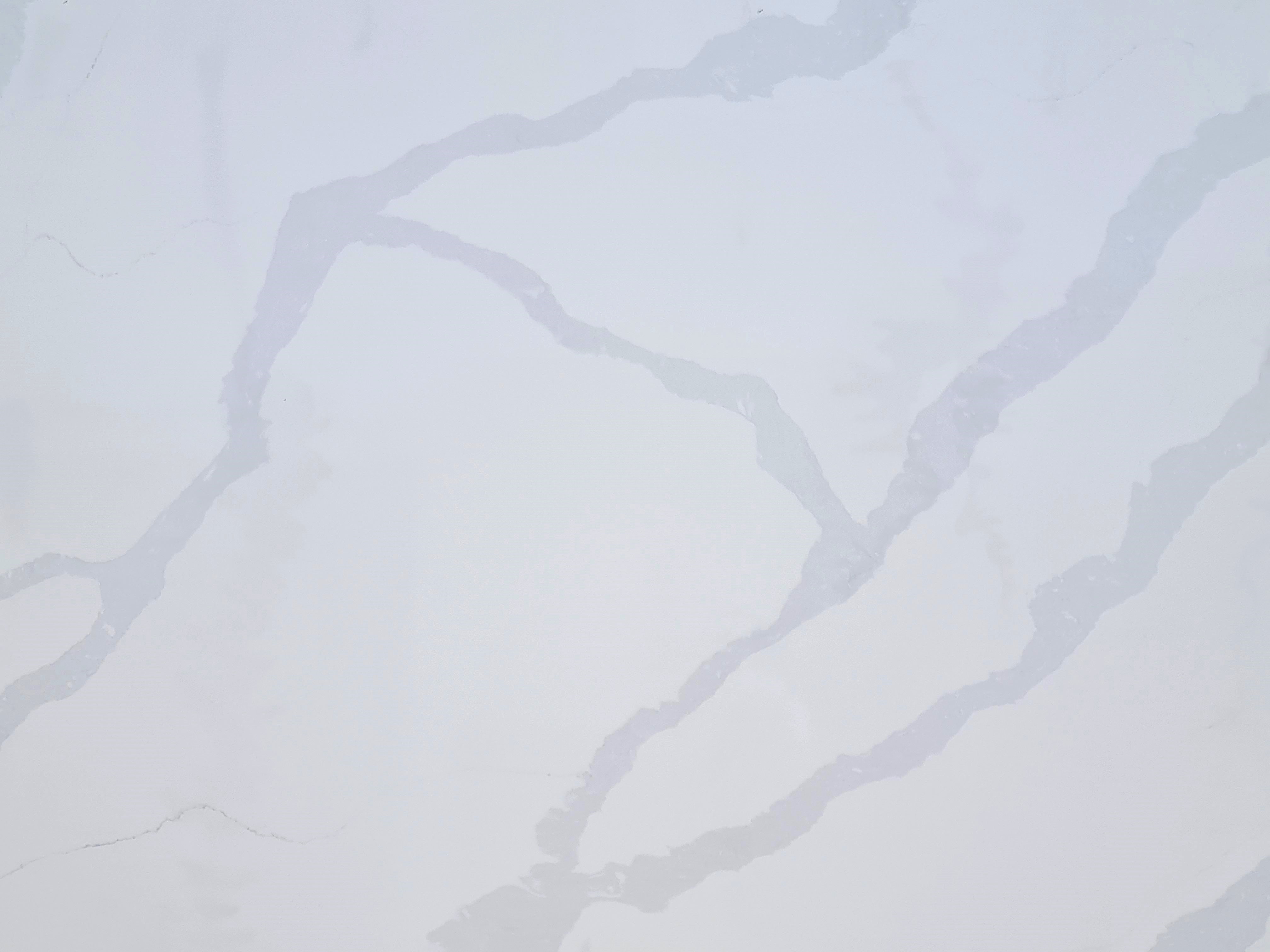 Calacatta Greco Quartz