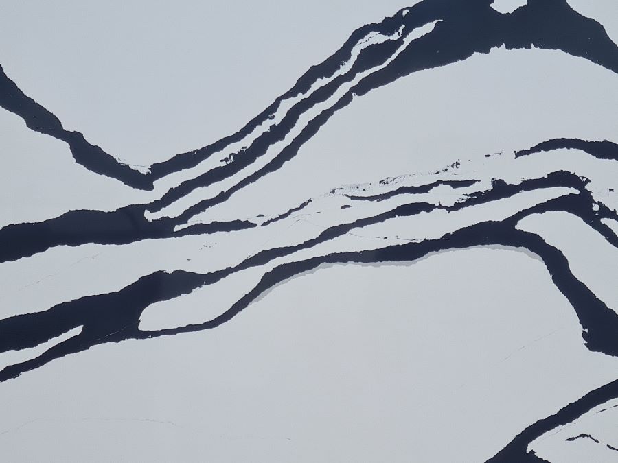 Calacatta Negresco Quartz