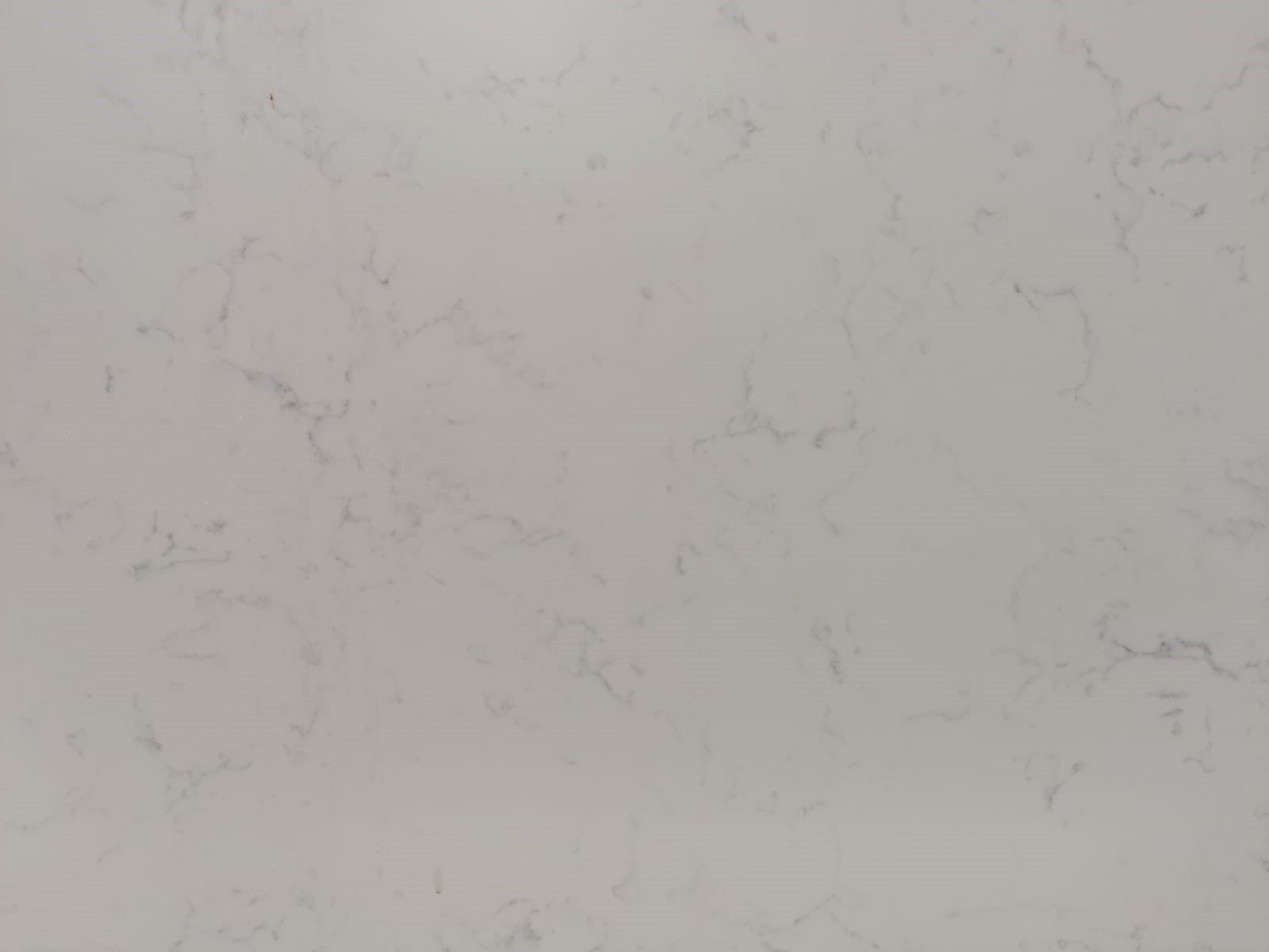 Carrara Verona Quartz