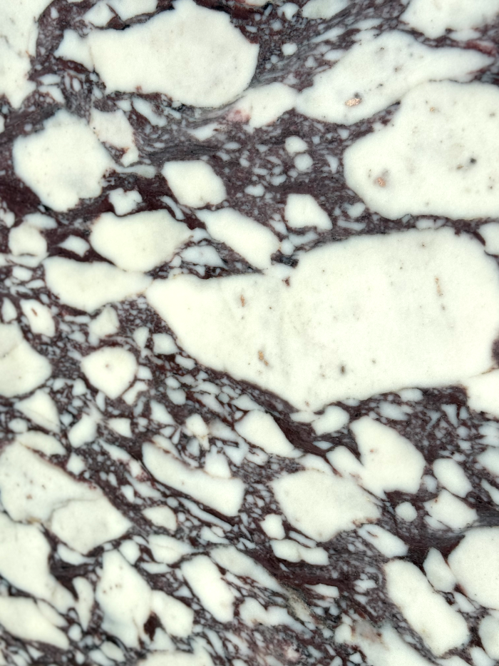 Calacatta Viola Marble