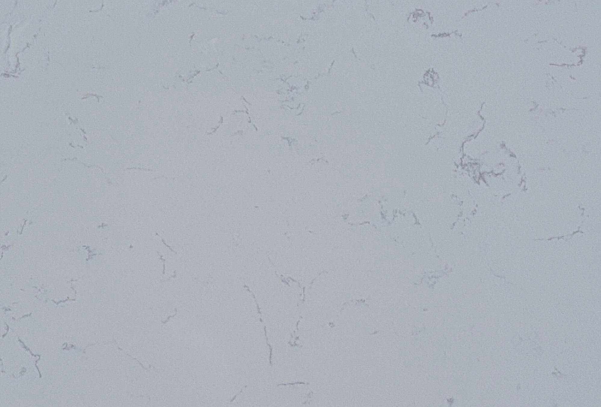 Carrara Quartz