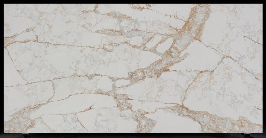 Calacatta Caldia Quartz