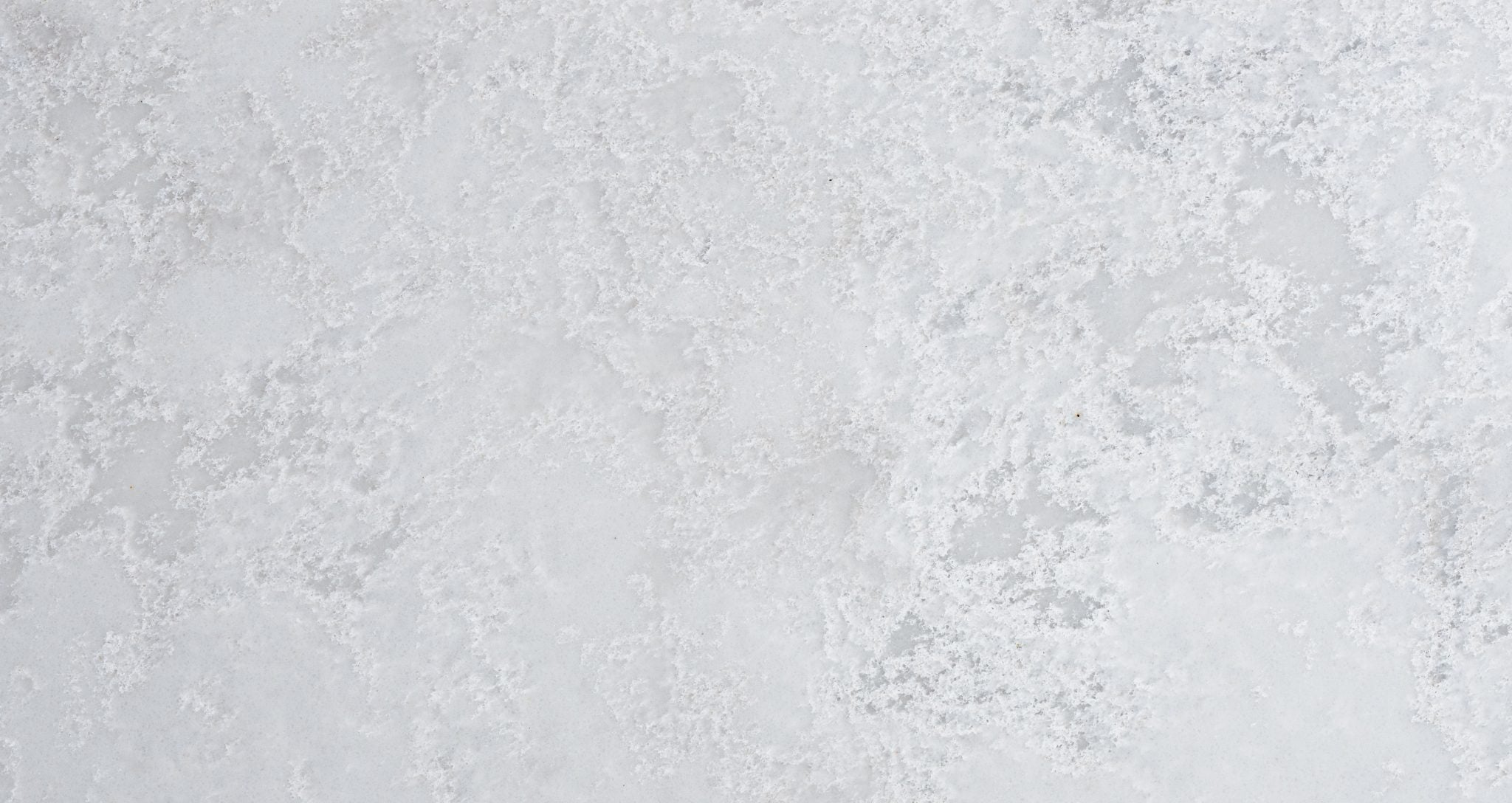 Schilthorn Leather Quartz