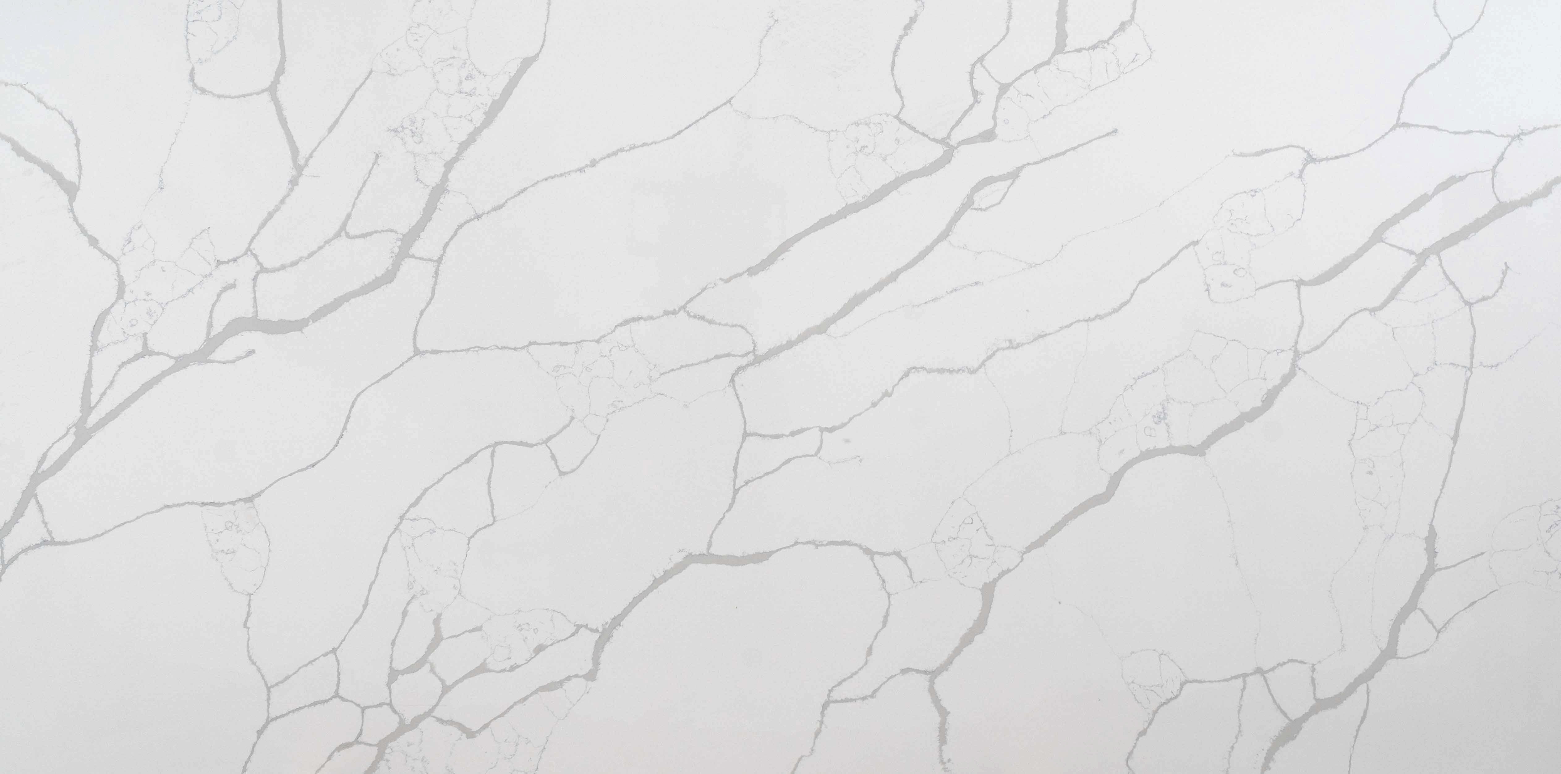 Calacatta Sydney Grey Quartz
